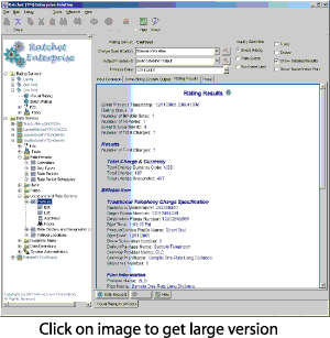 A panel showing the results of rating a transaction